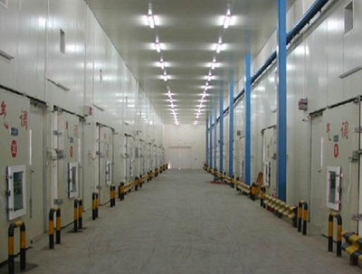 優(yōu)化倉(cāng)儲(chǔ)效率的核心 全面了解現(xiàn)代倉(cāng)儲(chǔ)設(shè)備