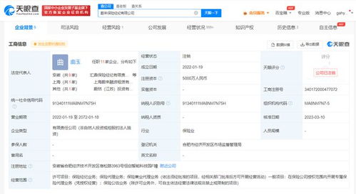 蔚來保險(xiǎn)經(jīng)紀(jì)公司注銷，聚焦主業(yè)還是戰(zhàn)略調(diào)整？